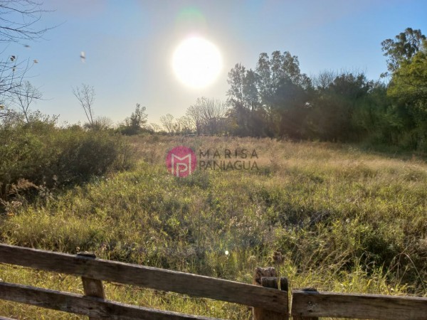 VENTA DE LOTES IDEAL INVERSOR