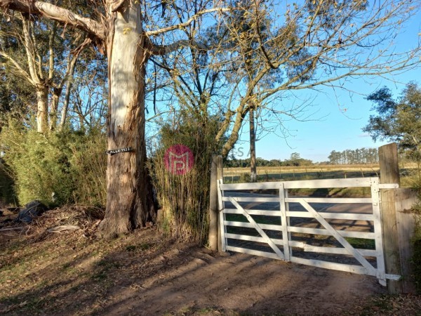 VENTA DE LOTES IDEAL INVERSOR